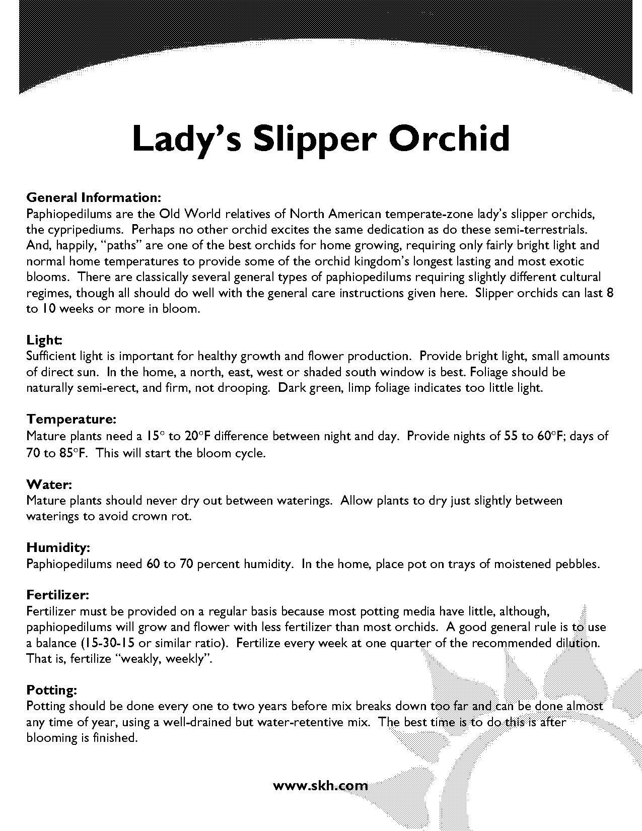 slipper orchid care instructions